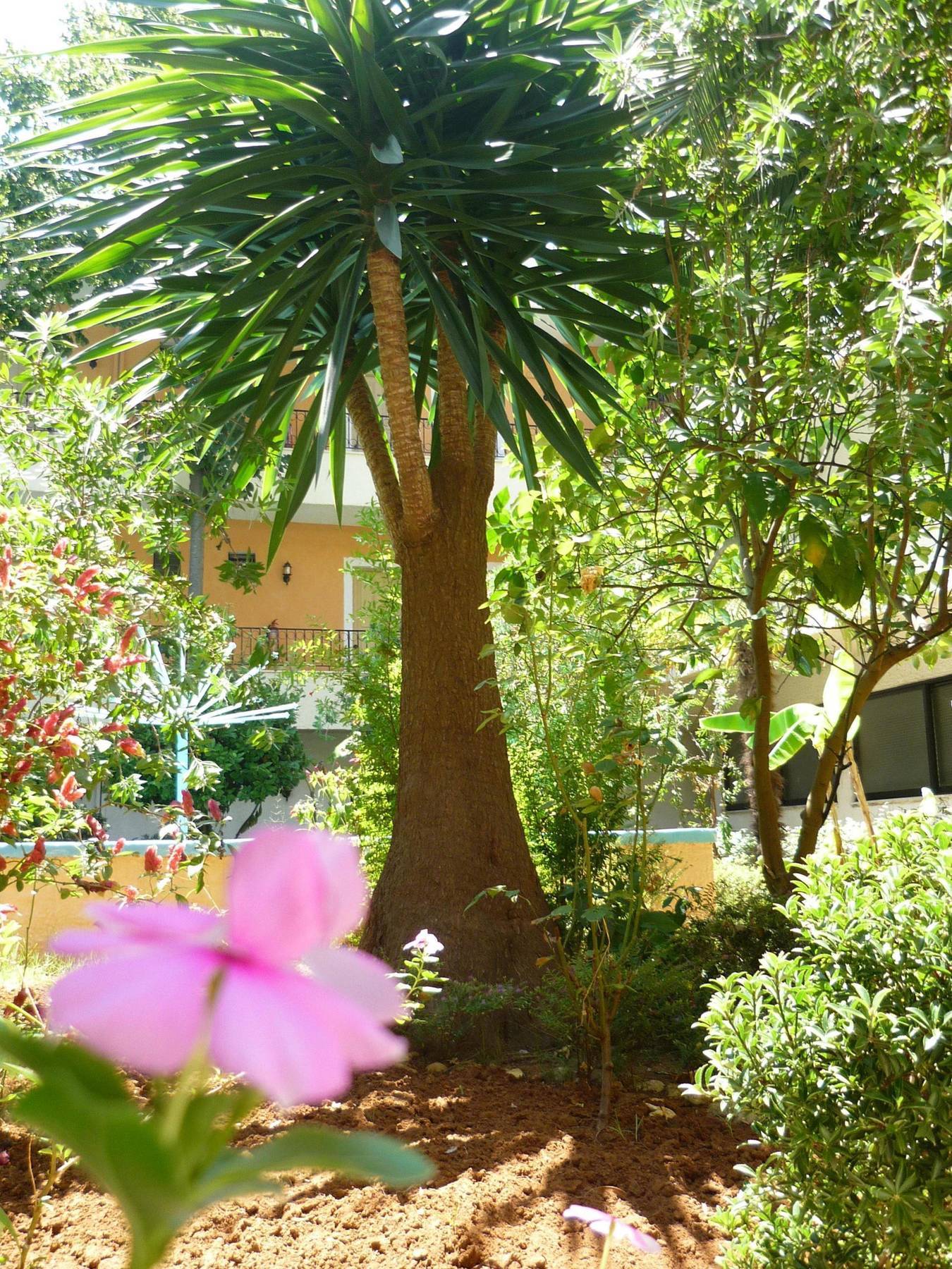 Hotel Alkionis Moraitika Exterior foto